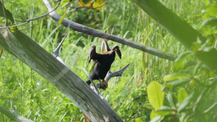 180度扭不會有問題嗎？在旁的我看的有點擔心