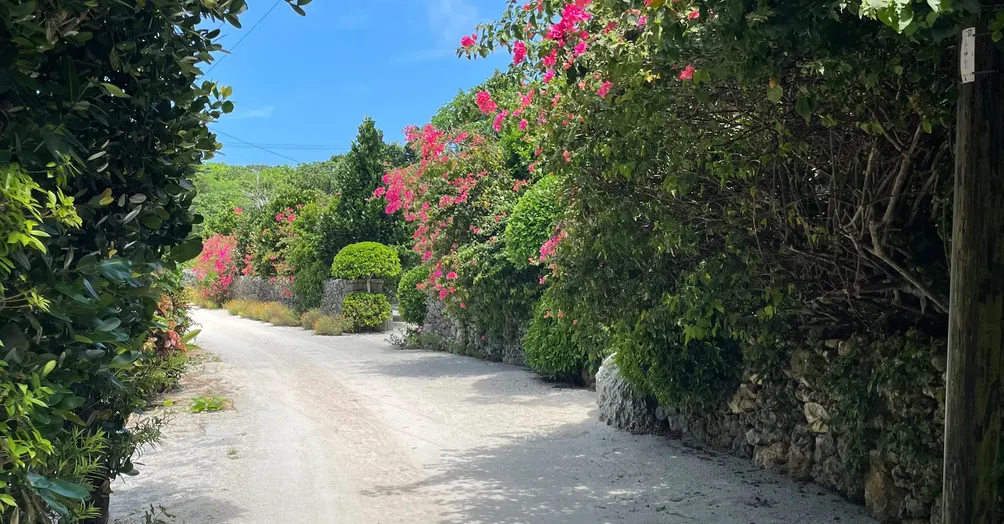 呷胖阿桑的隨手記