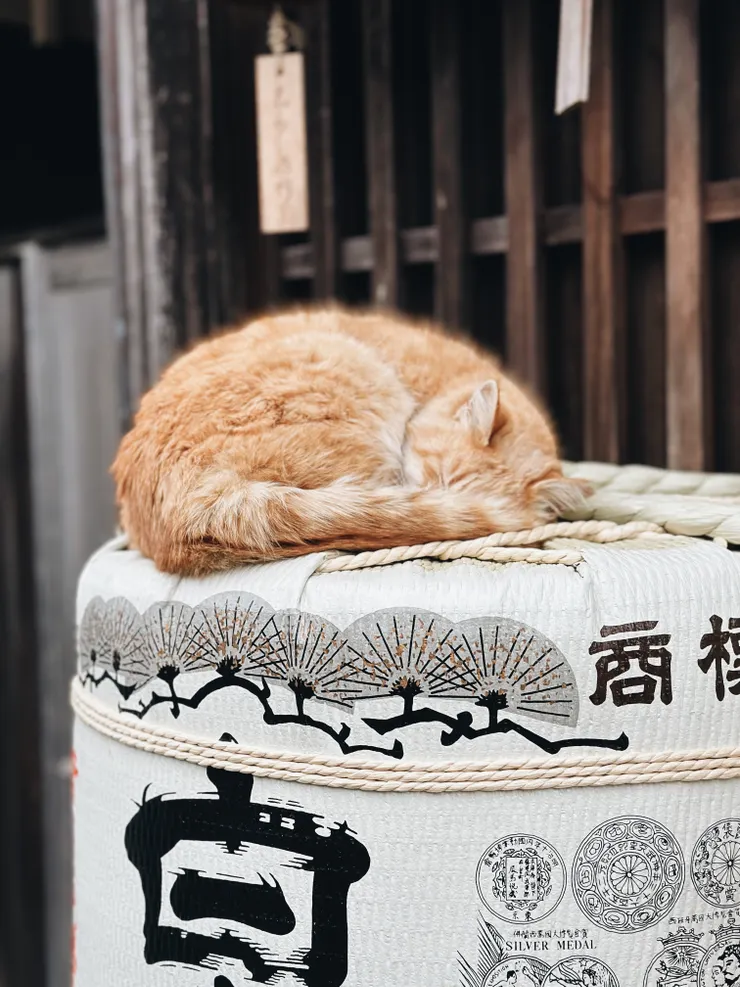 photo by chochoko ｜ Ise, Japan