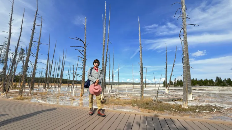 好像遺世獨立的忘憂森林