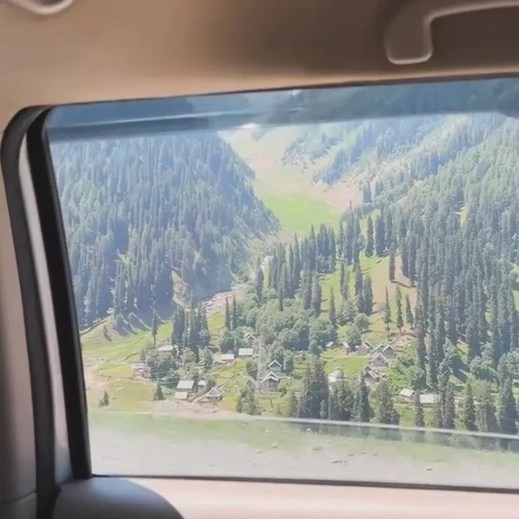 從窗外一窺美景