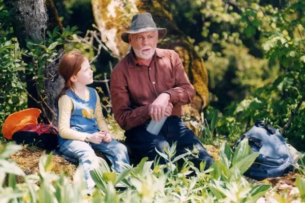 蝴蝶 / 圖擷取自網路