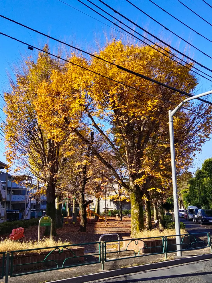 走在路上，經過小公園