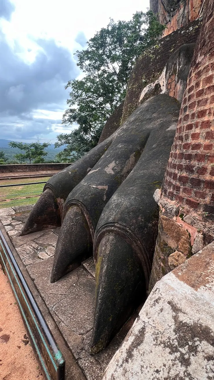 獅爪特寫，可是獅子腳指頭只有3根嗎？