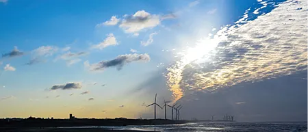 [桃園旅遊]許厝港溼地被國際鳥盟評為國際重要野鳥棲地、台灣國