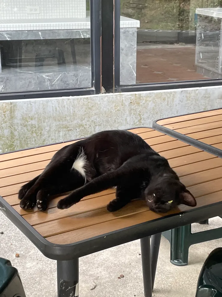 Now。好好的，好好。