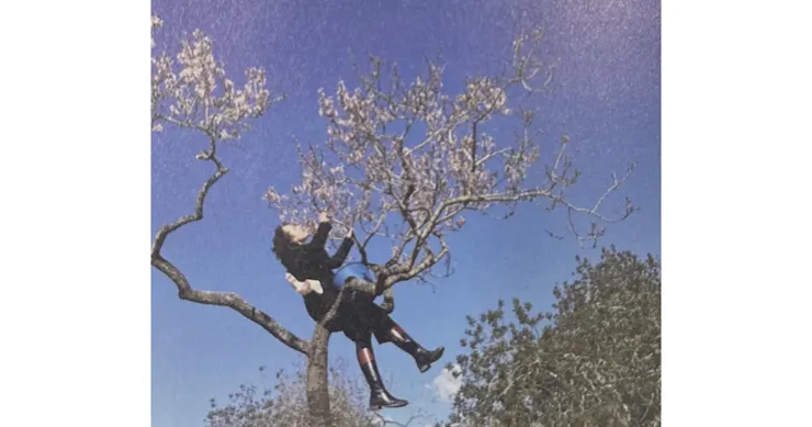 茶女士爬上杏樹去摘杏花（截自《訪茶》）