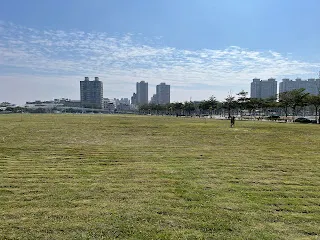 錢沒了可以想辦法再賺，而所獲得的寶貴經驗卻是可以留下來思考的。在獲利時，會感到有成就感，因為自己的運籌帷幄，而讓自己的勝率增加了。這一切都是在默默進行的。