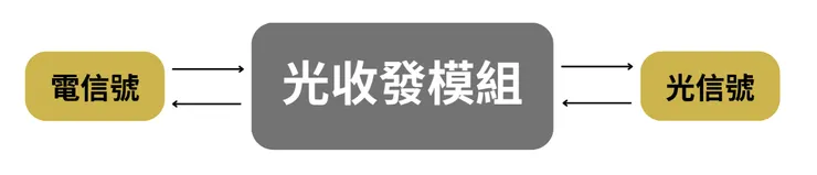 資料來源：自己畫的
