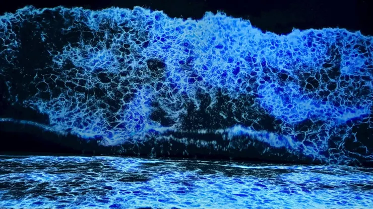 一直覺得海很療癒，於是我站在這一看再看。