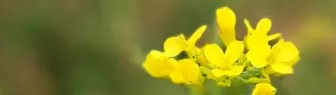 勤愛自己的沙龍