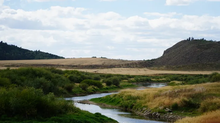 未被污染的原野