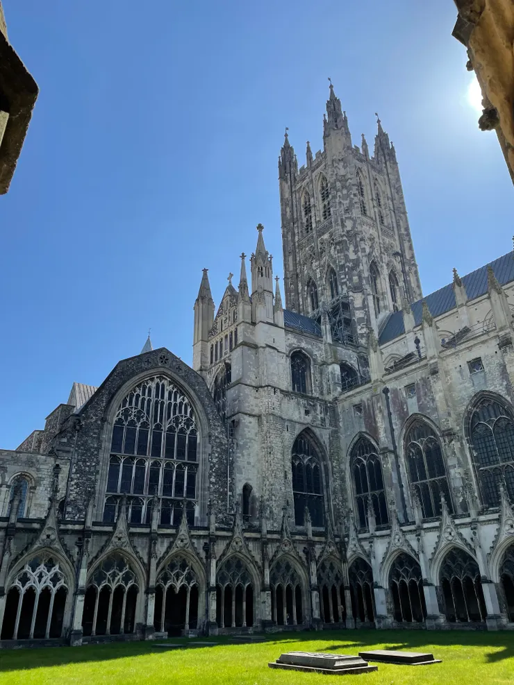 和煦陽光中的片刻