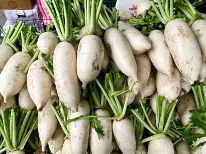 冬天不缺席的白蘿蔔