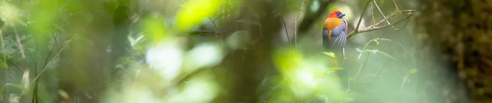 Kenny Wildlife Photography