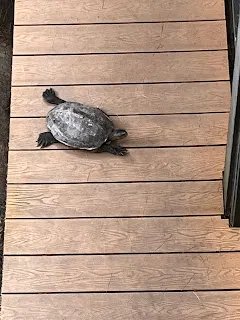 如果心中存在的信念是有錢人都是用不正當手段來變富有的；或是擁有太多錢是一件罪惡的事；又或者是相信：與其會投資倒不如會投胎，直接躺贏。在這些相反信念包圍之下，就算外人十分肯定自己多有錢多有錢，效果也會大打折扣的。