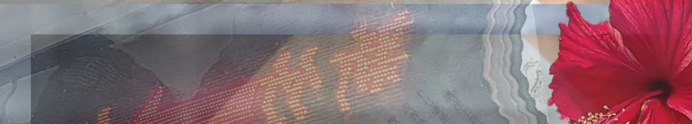 啾兜嗎爹的腦袋瓜