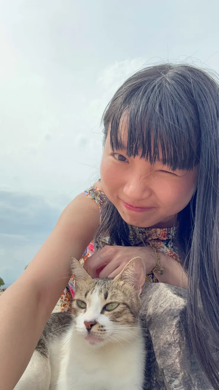 回教堂旁邊沙灘的小貓