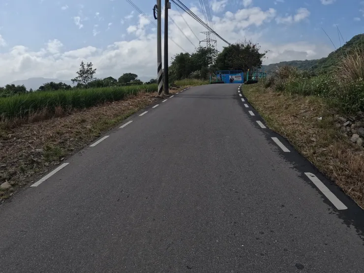 桃園就開始出現稻田了。