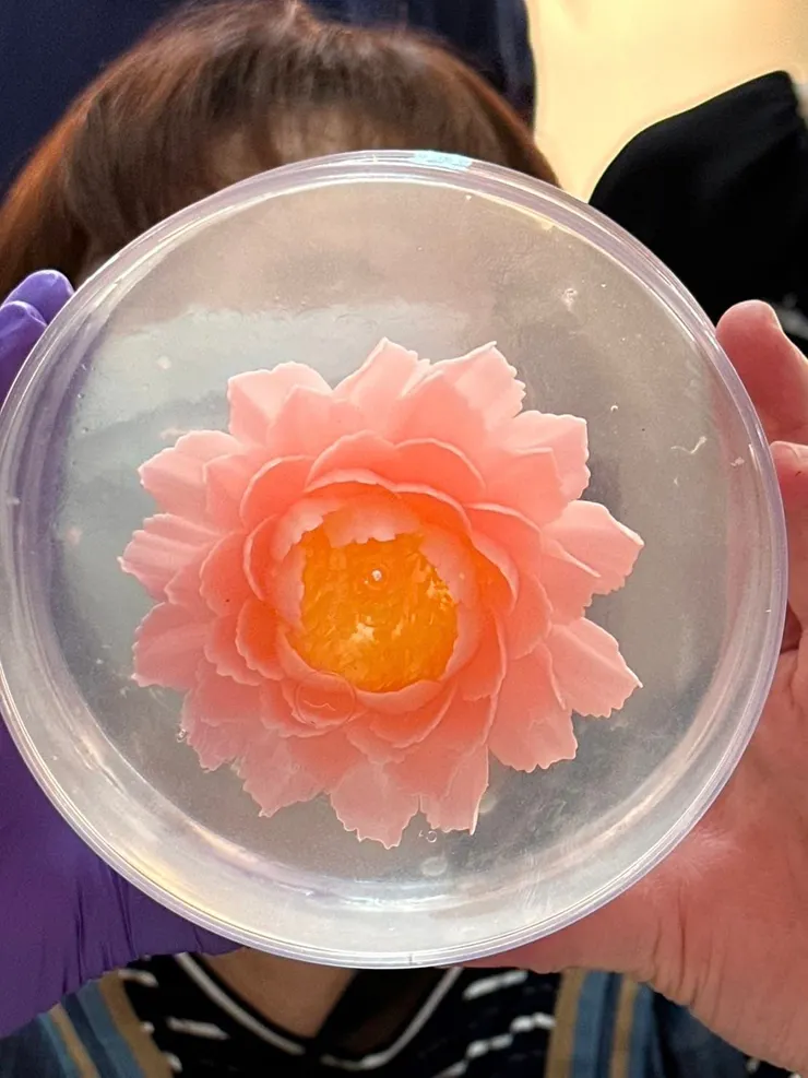 以前參賽總是拿金牌的老師示範作品