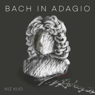 當表達沒有預期——《巴哈慢板》的誕生