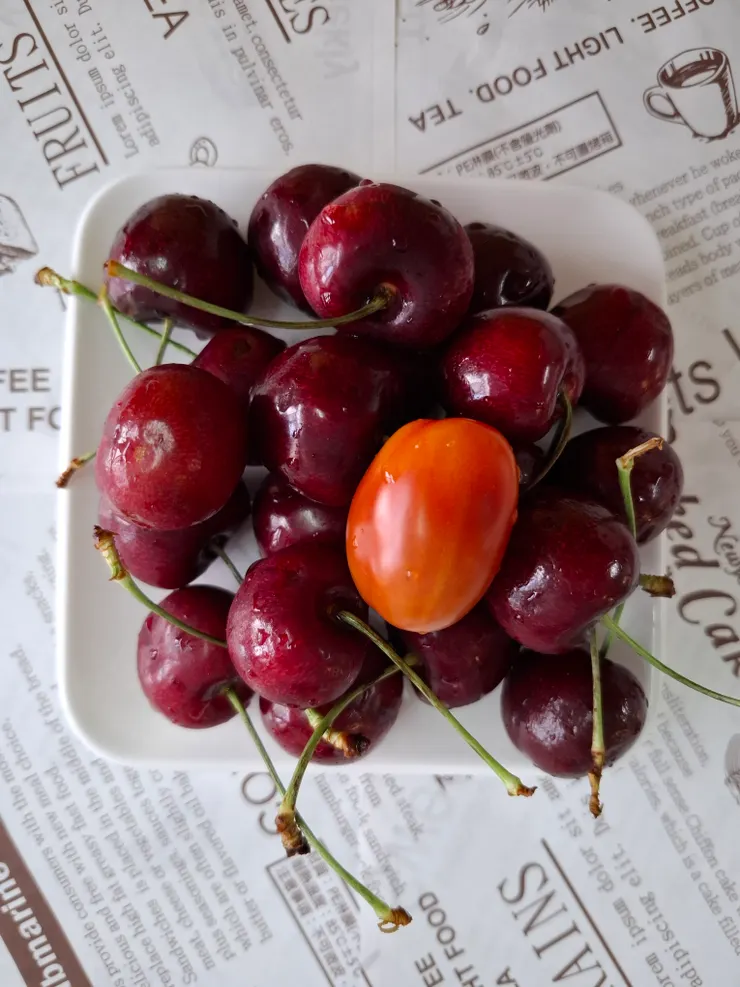 蕃茄是,阿爸小菜園的第1顆採收蕃茄。櫻桃是我妹的愛心。