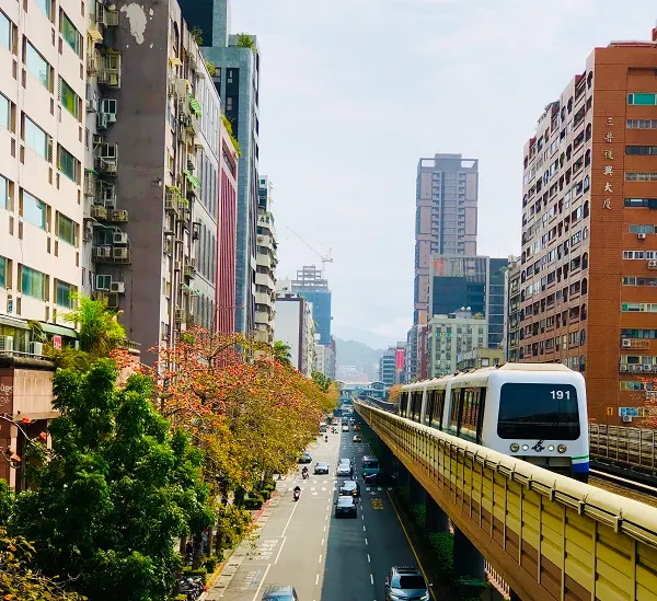 左側有整排的木棉花道。捷運大安站。