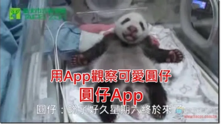 曾經陪伴許多人的圓仔app