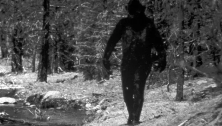 1977年疑似拍攝到的大腳怪身影