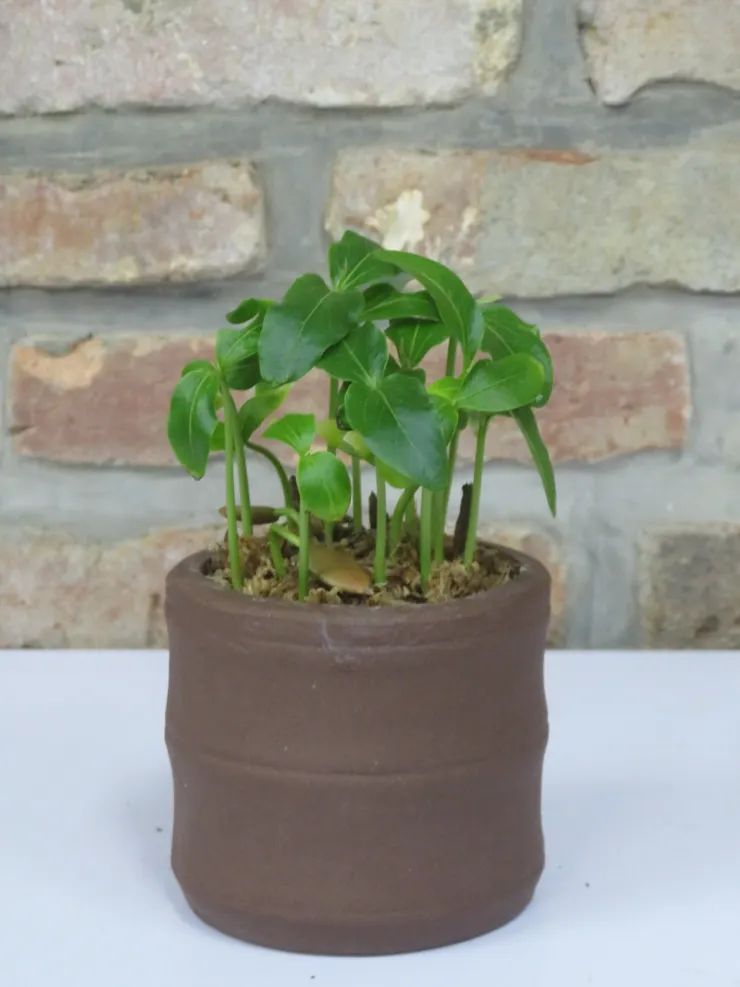 淡水社大112.11.07