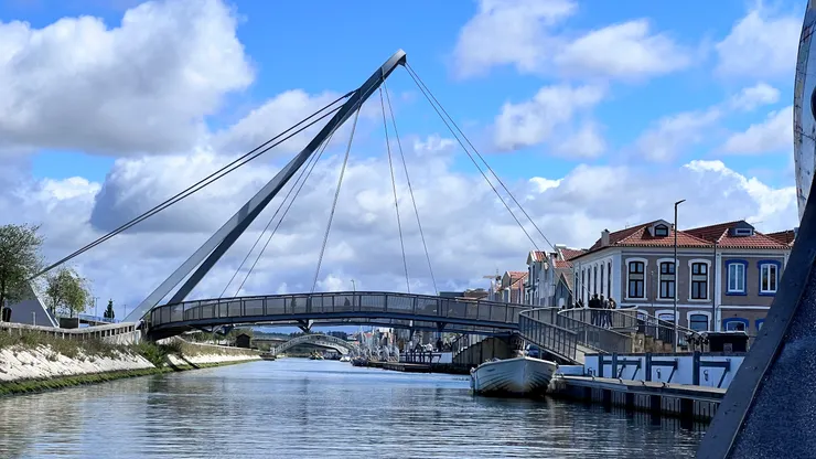 最特別的是環狀人行橋, 透過纜線懸掛在橋上。