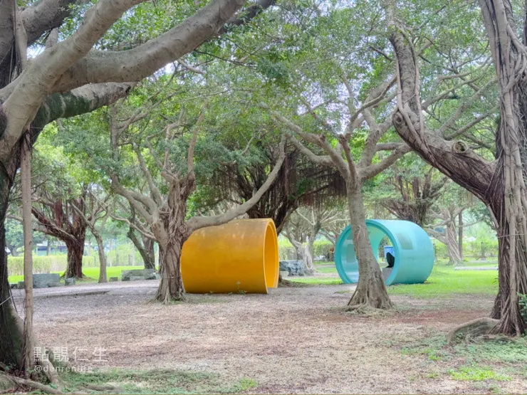 繼續直走路上有很多水管坐椅｜台北典藏植物園