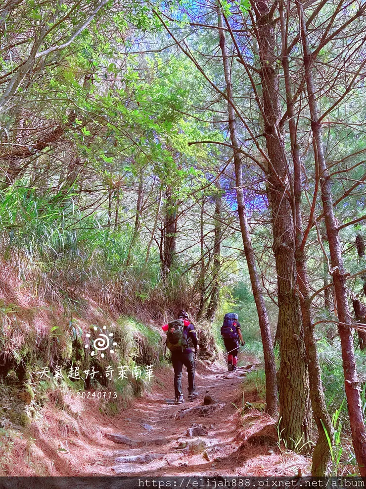 【2024夏。高繞上奇萊南華2天1夜】雲天宮出發高繞路線4.