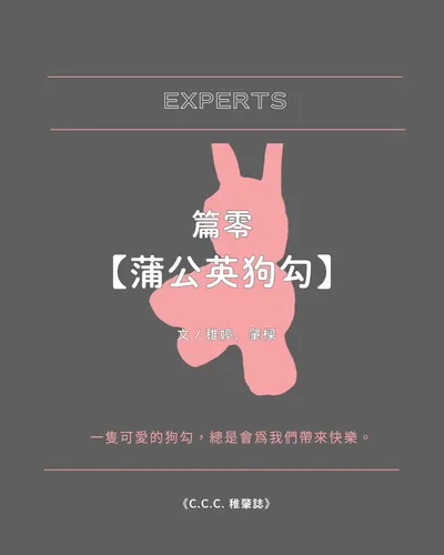 占卜表單！有問題想詢問請來這邊