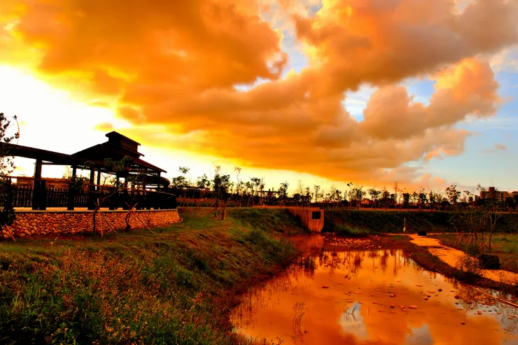 【滯洪池上下一片紅】