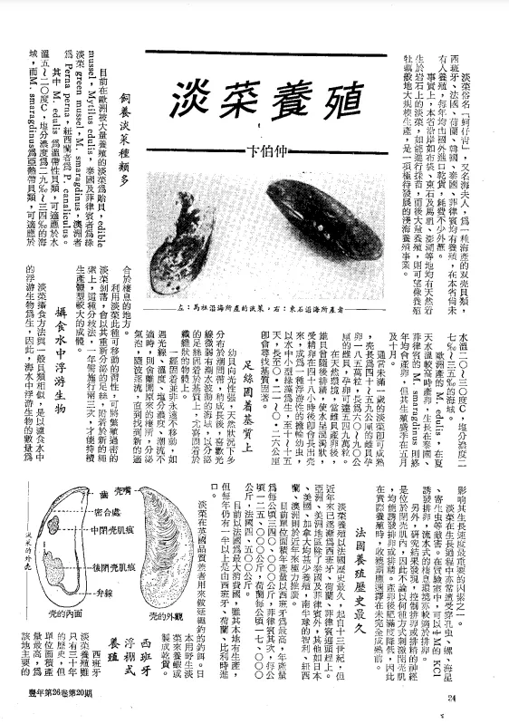 附上報導的原連結，歡迎詳閱完整版