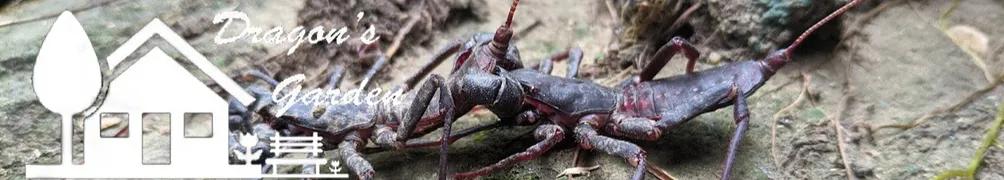 王飛龍Dragon的沙龍