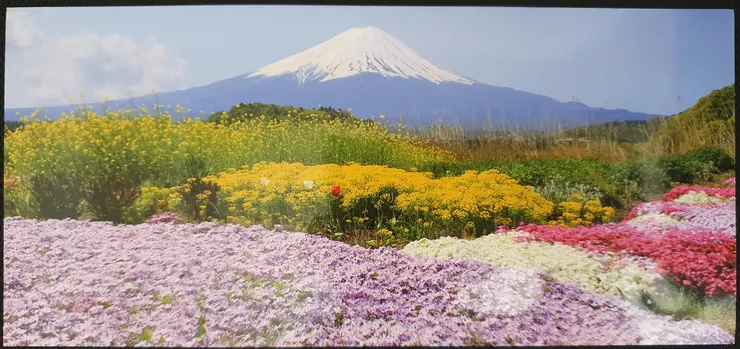 摯友旅日時寄來的明信片，收到時充滿了感動與感謝。