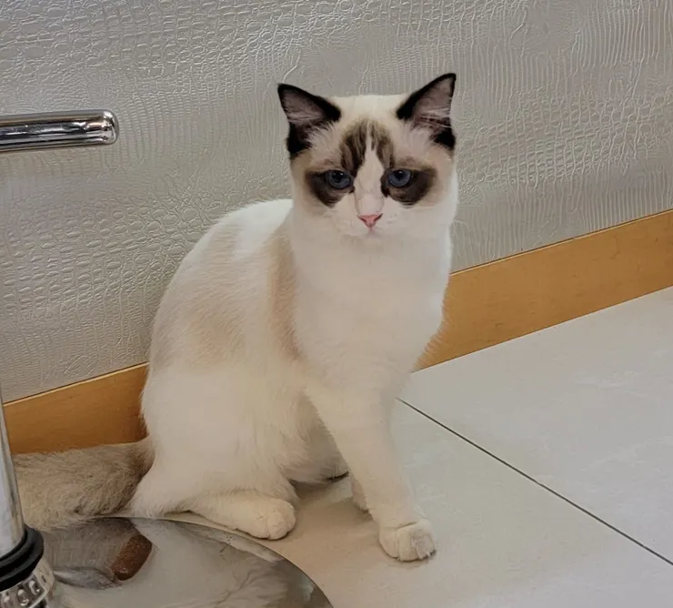 我不是任何人的經濟人