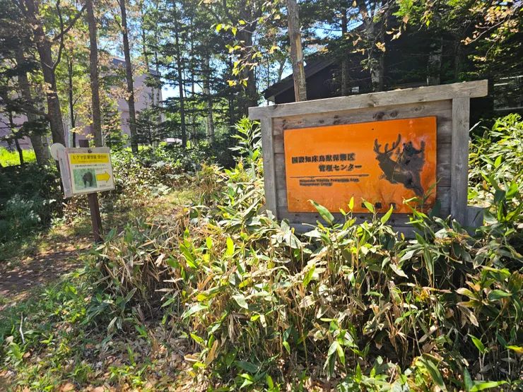 告知會有棕熊與蝦夷鹿出沒