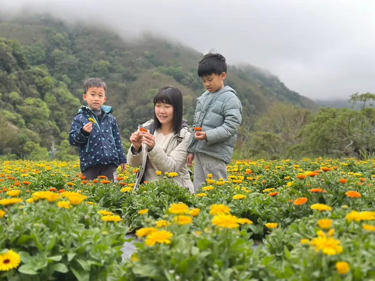 雖然是小小叢的花，低角度也可以拍出花海照