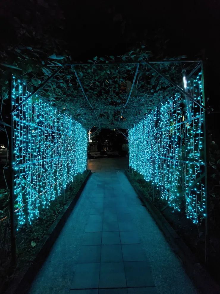 這樣的道路景觀，是夜晚特有的光