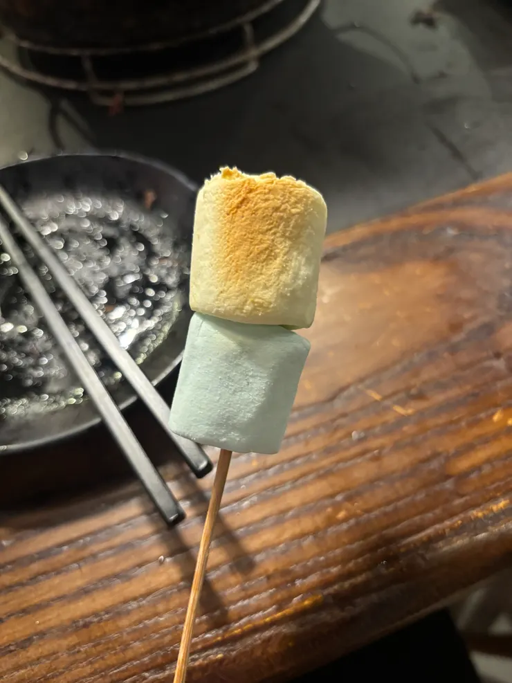 烤棉花糖是我去過的證明