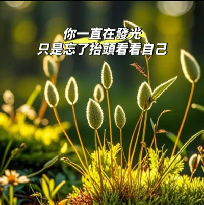 做自己的光，真的不需要太亮