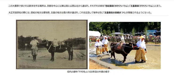 圖片來源：綾川町官網