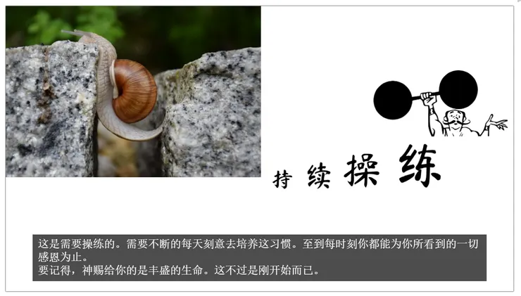 持续操练至到每时刻你都能为你所看到的一切感恩为止。