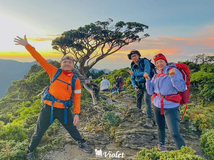 向陽名樹(照片由隊友提供)
