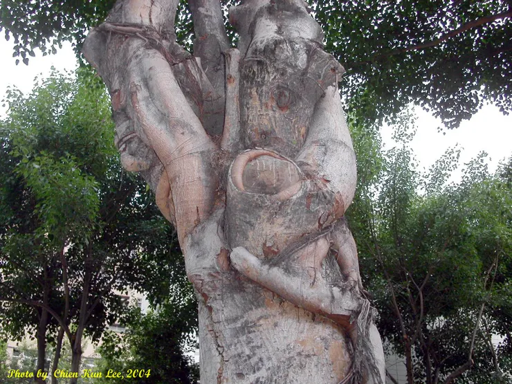 Blemishes and Love(李建崑攝影)