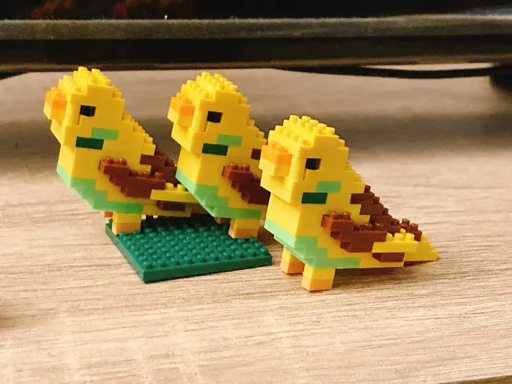 姊蒐集的扭蛋，意外轉到三個一模一樣的鳥鳥。