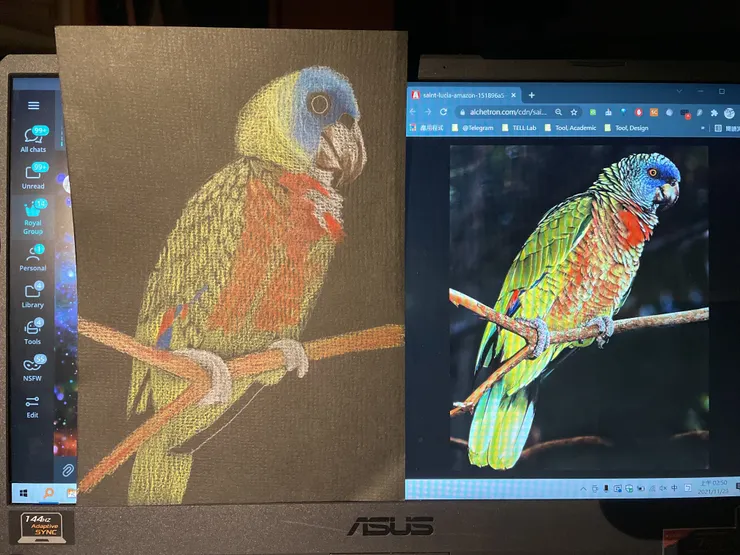 聖露西亞鸚鵡,02:50